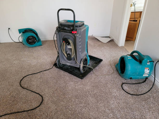 Best Water damage restoration insurance claims  in Key Vista, FL