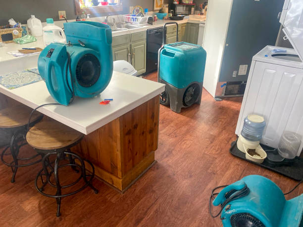 Best Water damage contractors near me  in Key Vista, FL