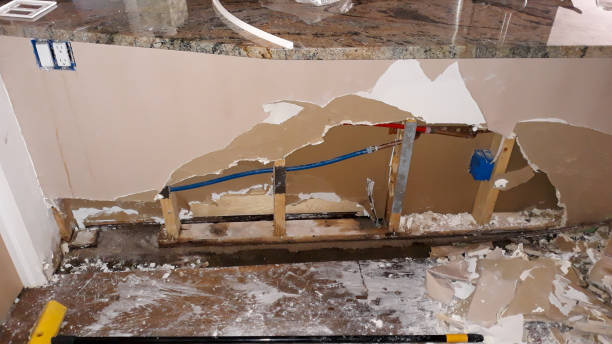 Best Flooded house restoration  in Key Vista, FL