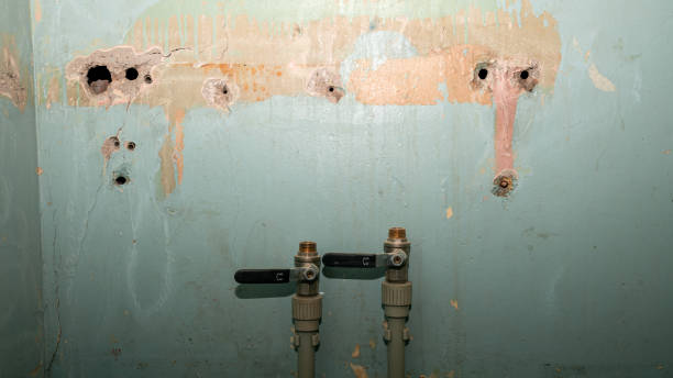 Best Water damage restoration specialists  in Key Vista, FL
