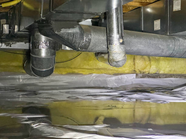 Best Sewage cleanup and water damage restoration  in Key Vista, FL