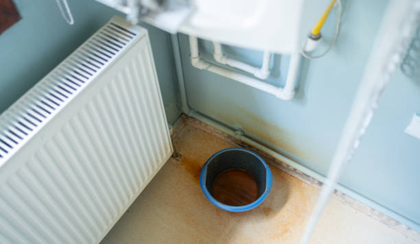 Best Basement water damage restoration  in Key Vista, FL