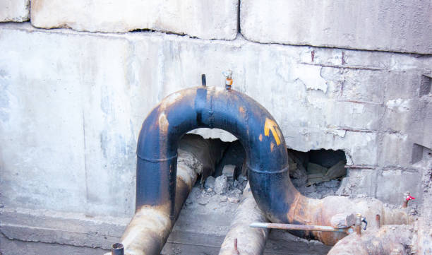 Best Water damage cleanup near me  in Key Vista, FL