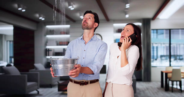 Best Residential water damage restoration  in Key Vista, FL